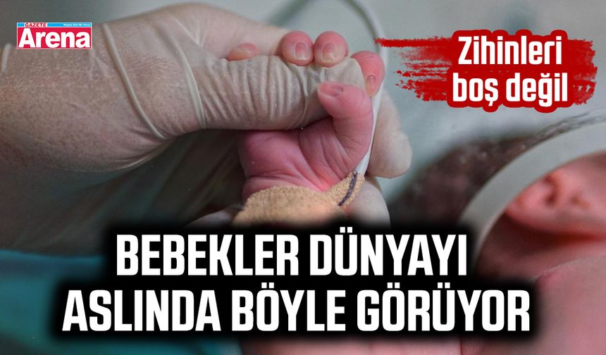 Bebekler dünyayı aslında böyle görüyor