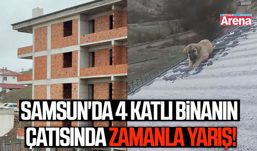 Samsun'da 4 katlı binanın çatısında zamanla yarış!