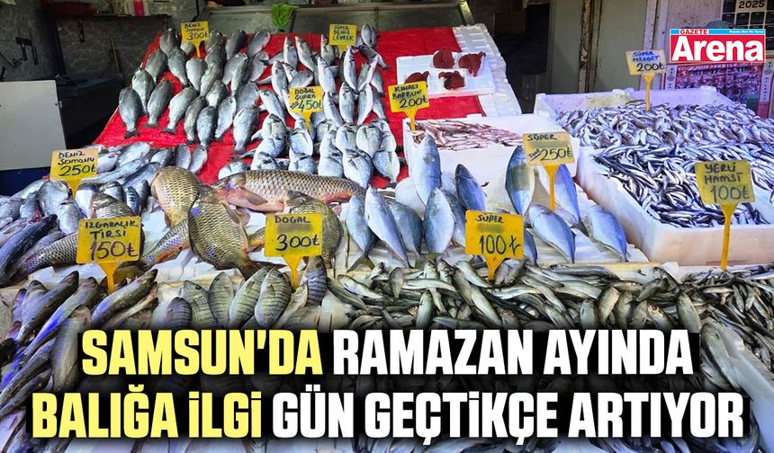 Samsun'da Ramazan ayında balığa ilgi gün geçtikçe artıyor