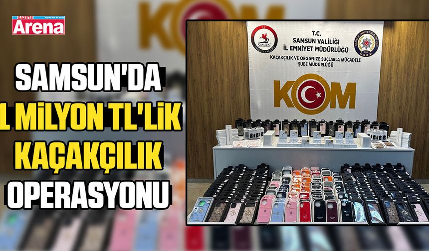 Samsun'da 1 milyon TL'lik kaçakçılık operasyonu