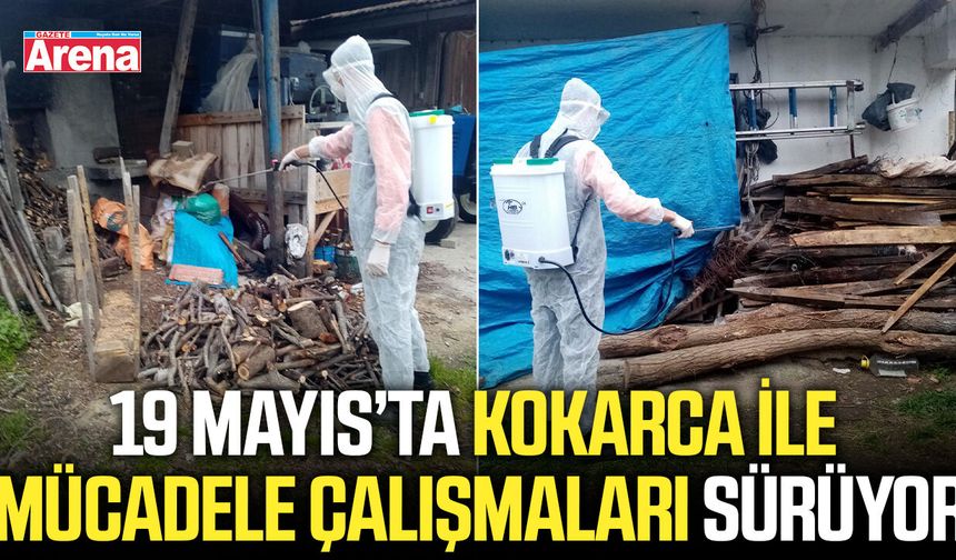 19 Mayıs’ta kokarca ile mücadele çalışmaları sürüyor