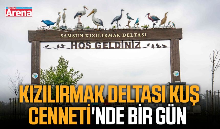 Kızılırmak Deltası Kuş Cenneti'nde bir gün