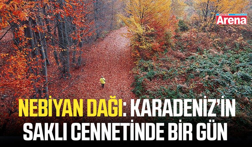 Nebiyan Dağı: Karadeniz’in saklı cennetinde bir gün