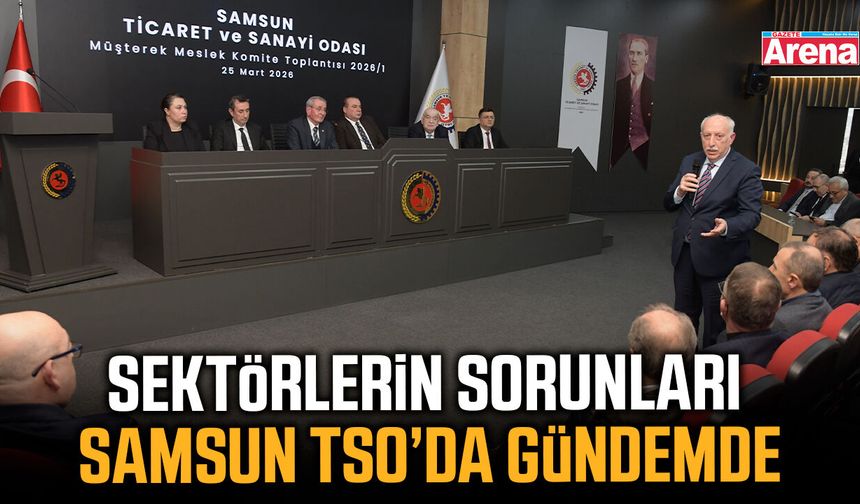 Sektörlerin sorunları Samsun TSO’da gündemde