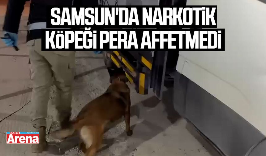 Samsun'da narkotik köpeği Pera affetmedi