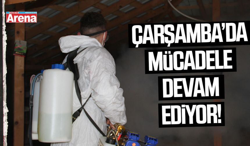 Çarşamba'da 62 bin samuray arısı doğaya salındı