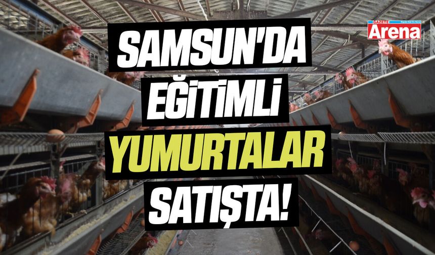 Samsun'da eğitimli yumurtalar satışta!