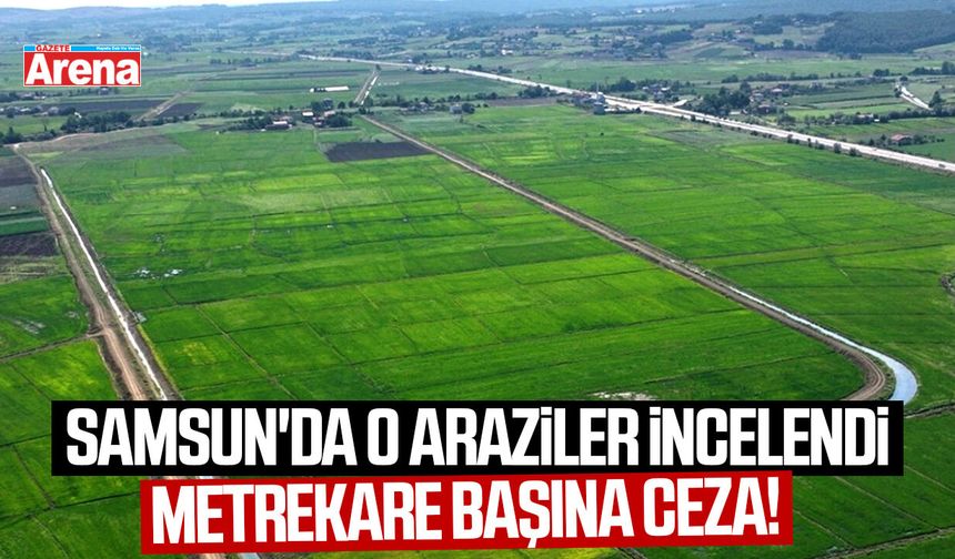 Samsun'da o araziler incelendi: Metrekare başına ceza!