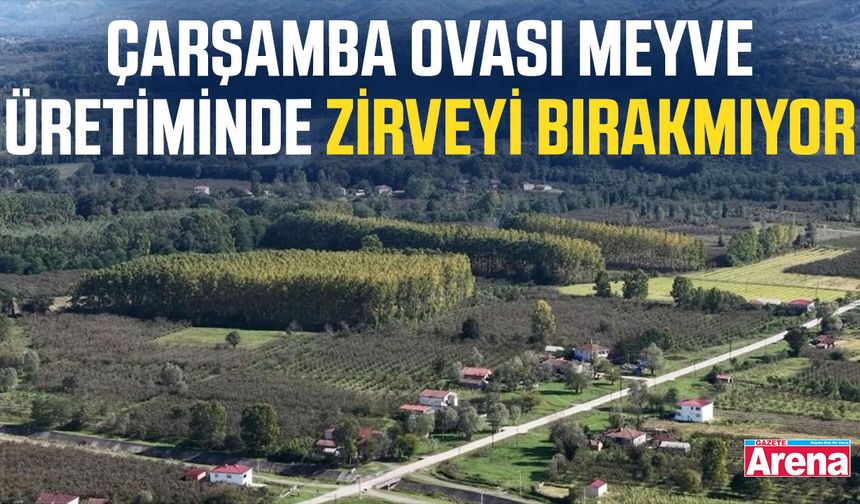 Çarşamba Ovası meyve üretiminde zirveyi bırakmıyor