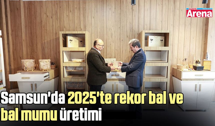 Samsun'da 2025'te rekor bal ve bal mumu üretimi