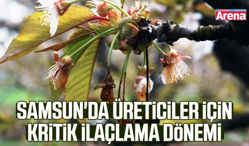 Samsun'da üreticiler için kritik ilaçlama dönemi