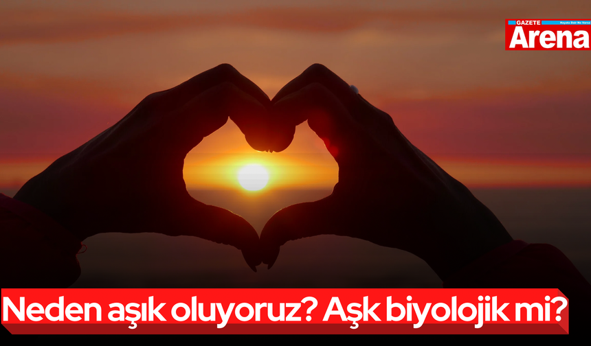 Neden aşık oluyoruz? Aşk biyolojik mi?