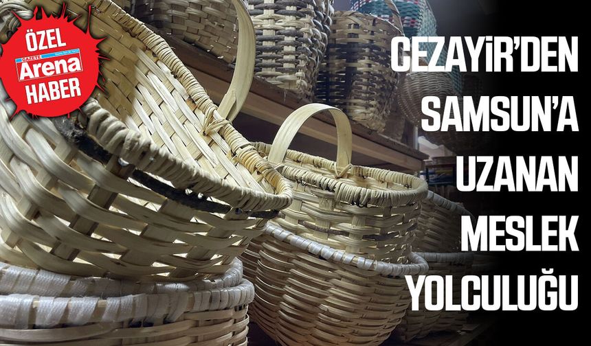 Cezayir’den Samsun’a uzanan meslek yolculuğu