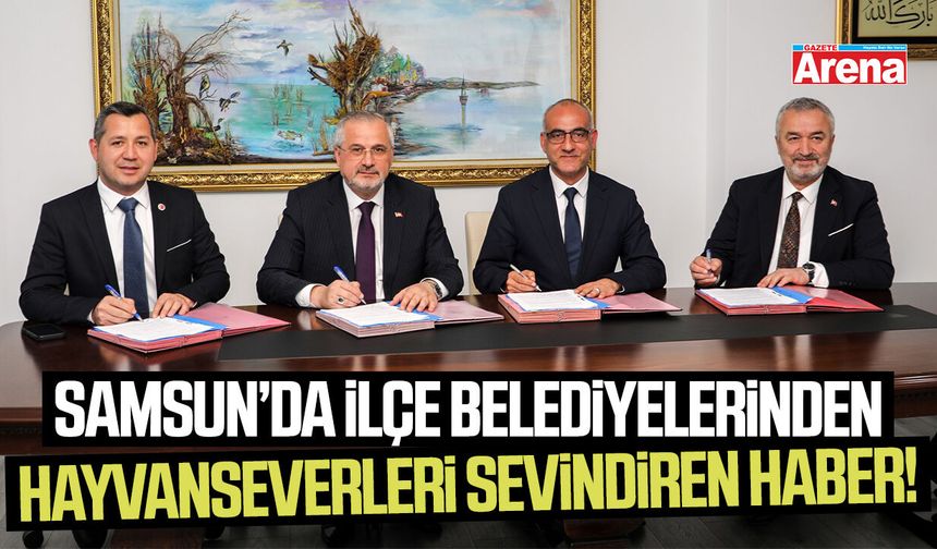 Samsun'da ilçelerden sahipsiz hayvanlar için dev iş birliği