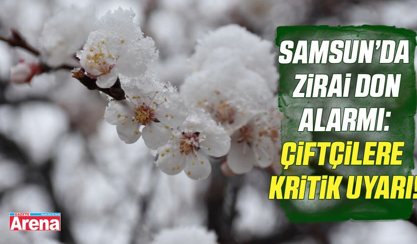Samsun’da zirai don alarmı: Çiftçilere kritik uyarı!