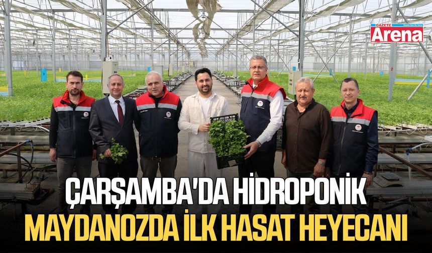 Çarşamba'da hidroponik maydanozda ilk hasat heyecanı