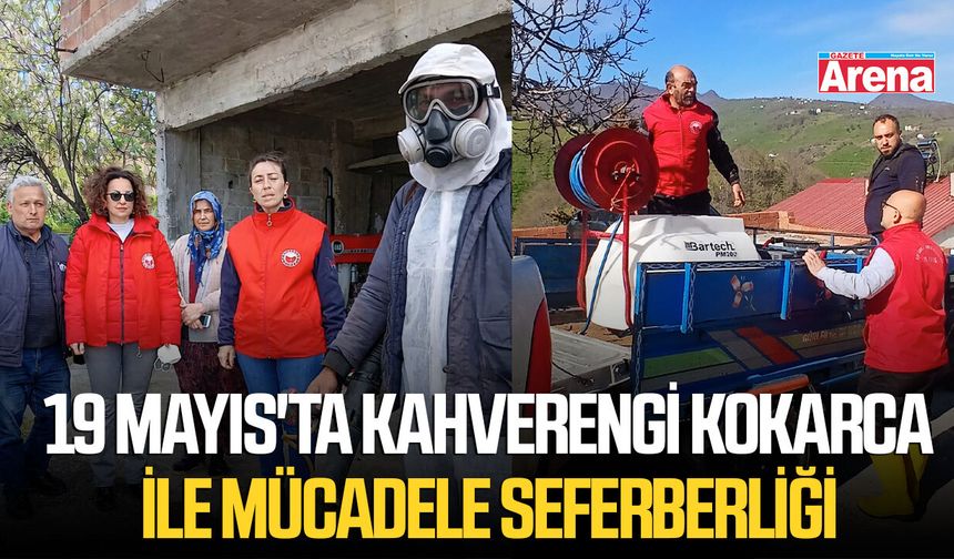 19 Mayıs'ta kahverengi kokarca ile mücadele seferberliği