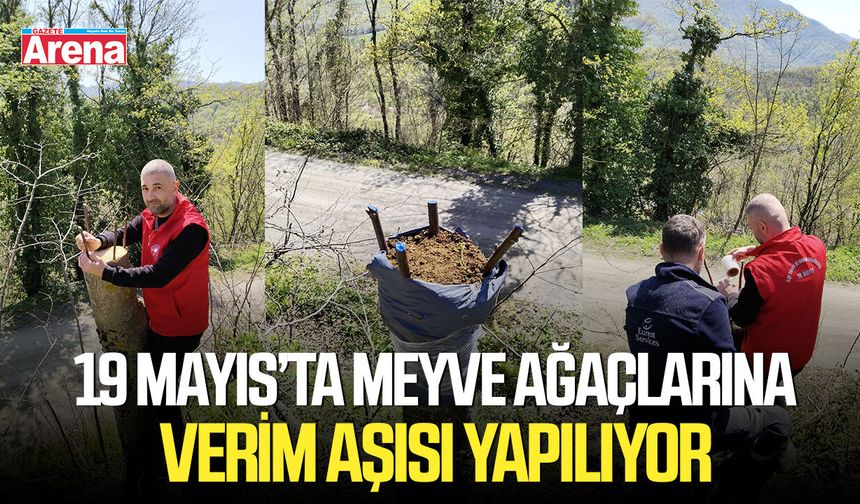 19 Mayıs’ta meyve ağaçlarına verim aşısı yapılıyor