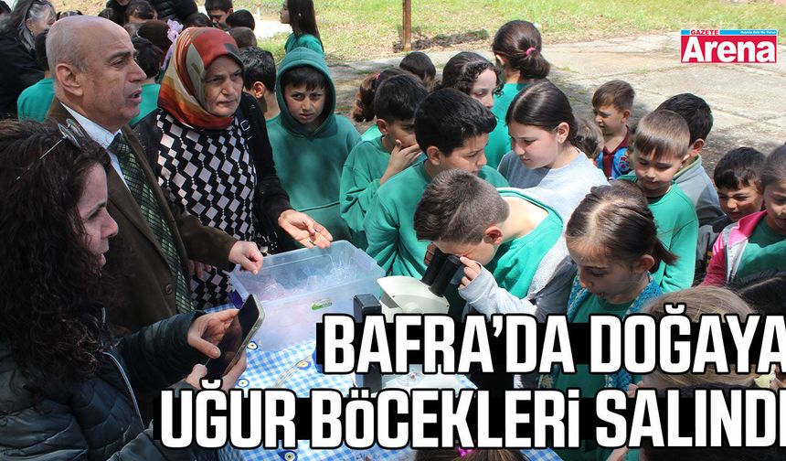 Bafra’da doğaya uğur böcekleri salındı