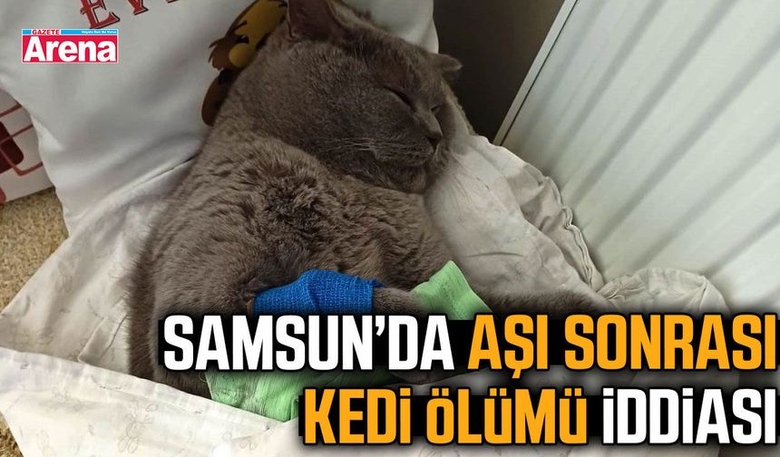 Samsun’da aşı sonrası kedi ölümü iddiası