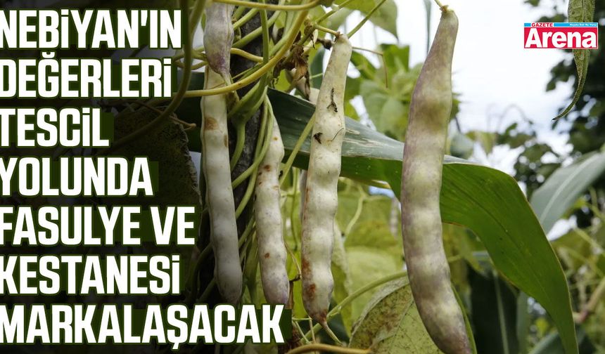 Samsun'da Nebiyan ürünleri markalaşıyor