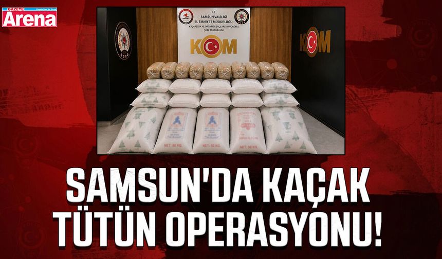 Samsun'da kaçak tütün operasyonu!