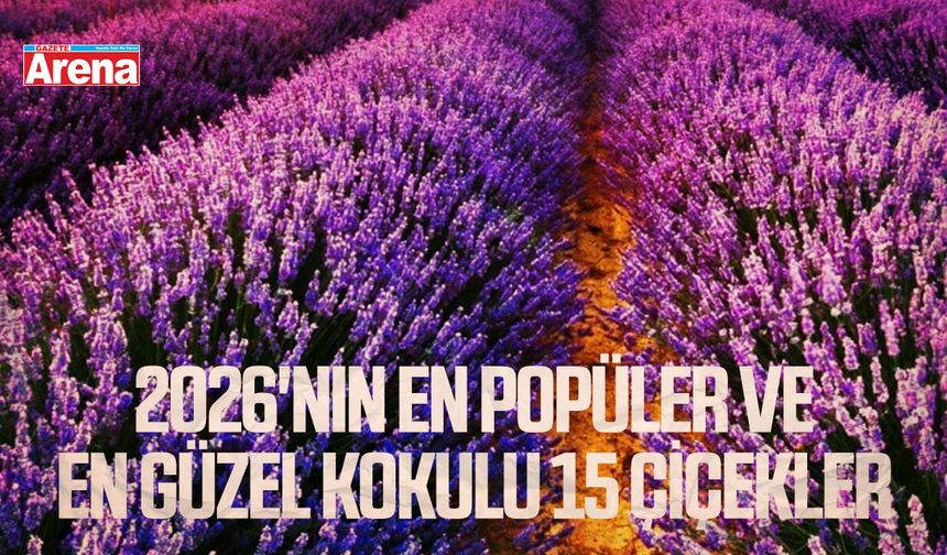 2026'nın en popüler ve en güzel kokulu 15 çiçekler