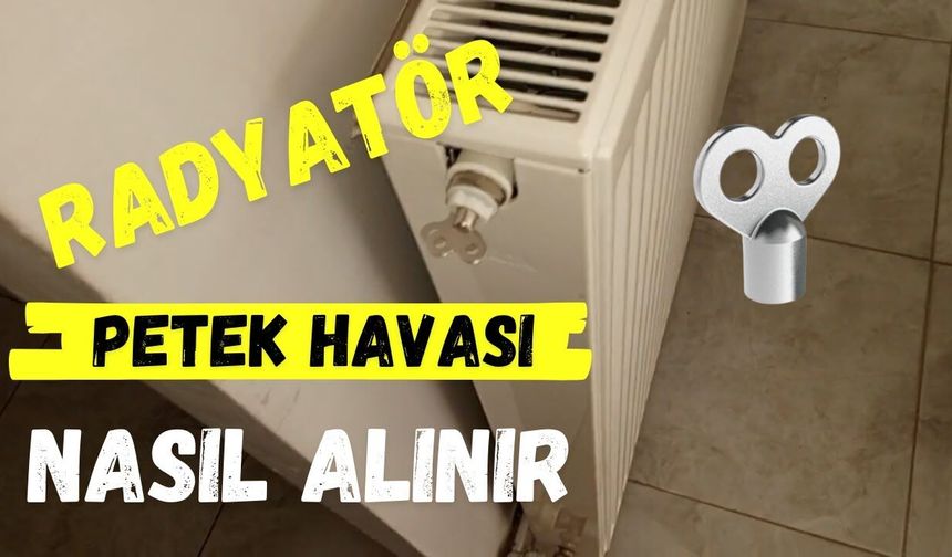 Petek Havası Nasıl Alınır?