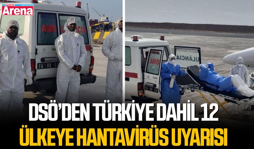 DSÖ’den Türkiye dahil 12 ülkeye hantavirüs uyarısı