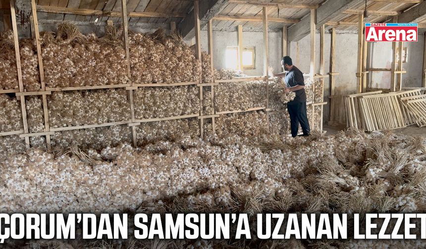 Çorum’dan Samsun’a uzanan lezzet