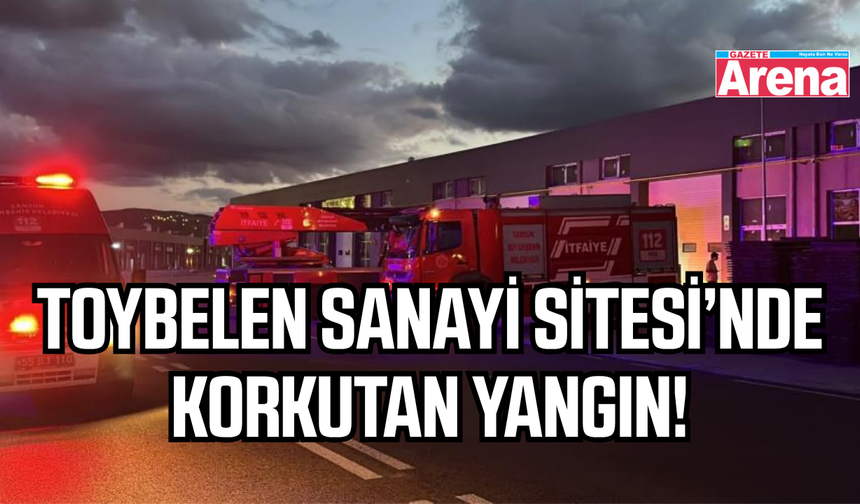 Samsun'da kereste imalathanesinde yangın