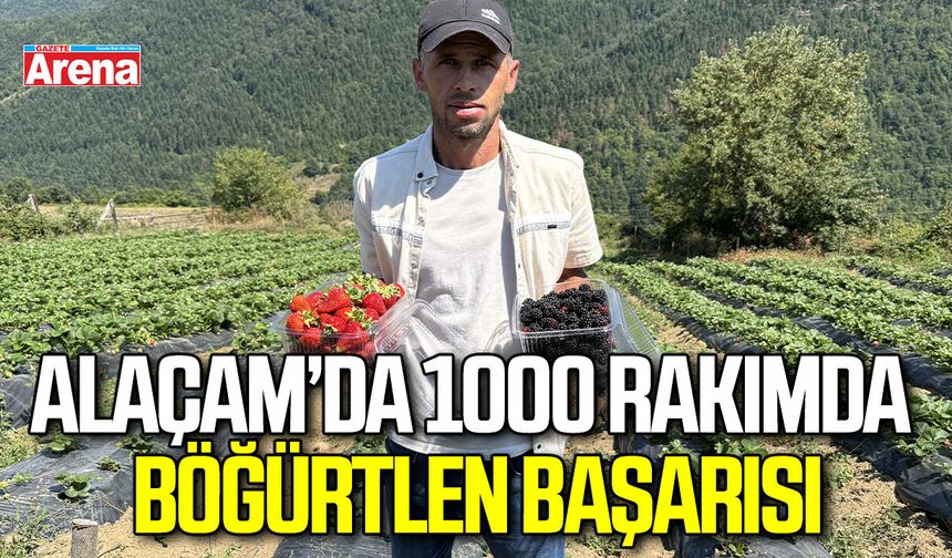 Alaçam’da 1000 rakımda böğürtlen başarısı