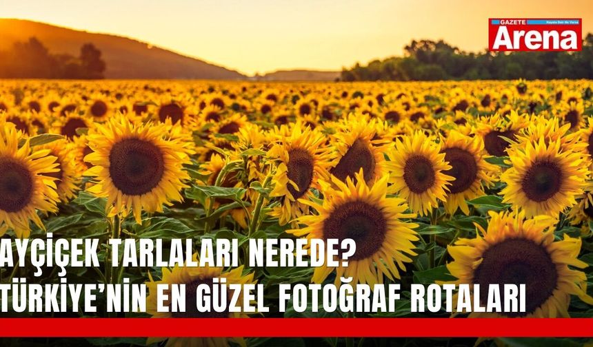 Ayçiçek tarlaları nerede? Türkiye’nin en güzel fotoğraf rotaları