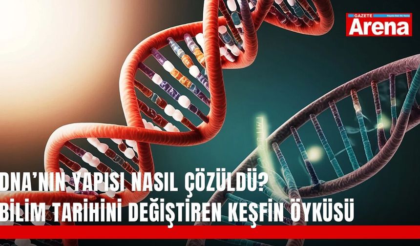 Dna’nın yapısı nasıl çözüldü? Bilim tarihini değiştiren keşfin öyküsü