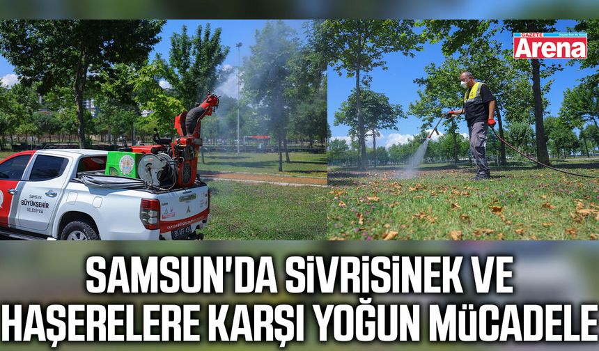 Samsun'da sivrisinek ve haşerelere karşı yoğun mücadele