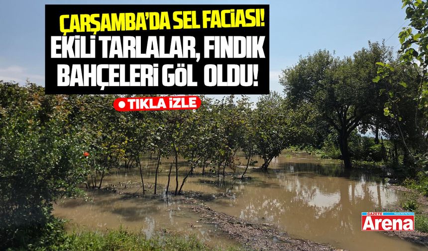 Çarşamba'da şiddetli sağanak hayatı durma noktasına getirdi
