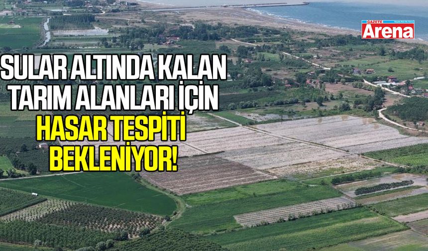 Çarşamba'da sular altında kalan tarım alanları için hasar tespiti bekleniyor