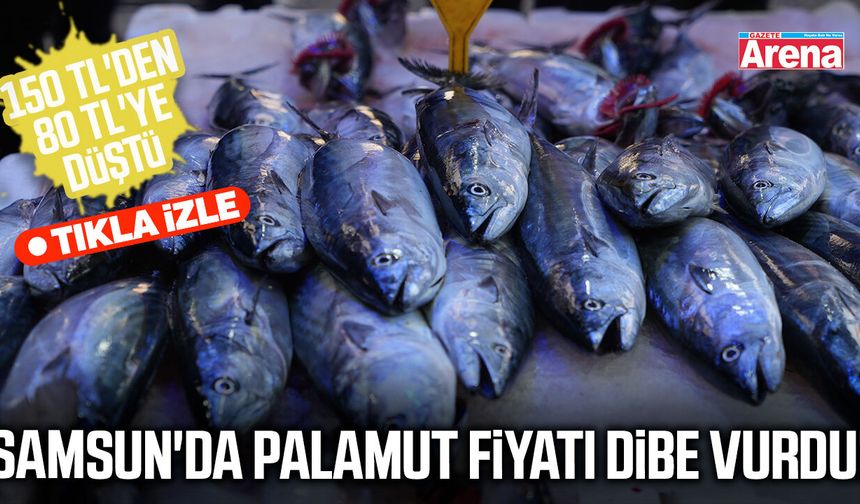 Samsun'da palamut fiyatı dibe vurdu!