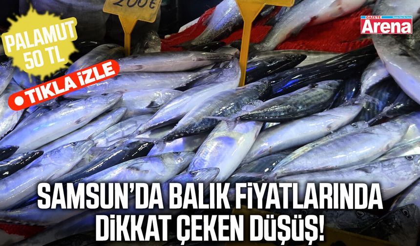 Samsun’da palamut bolluğu fiyatlara yansıdı