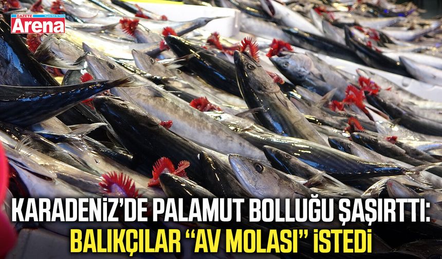 Karadeniz'de balıkçılar bol avlanan palamut için mola istiyor