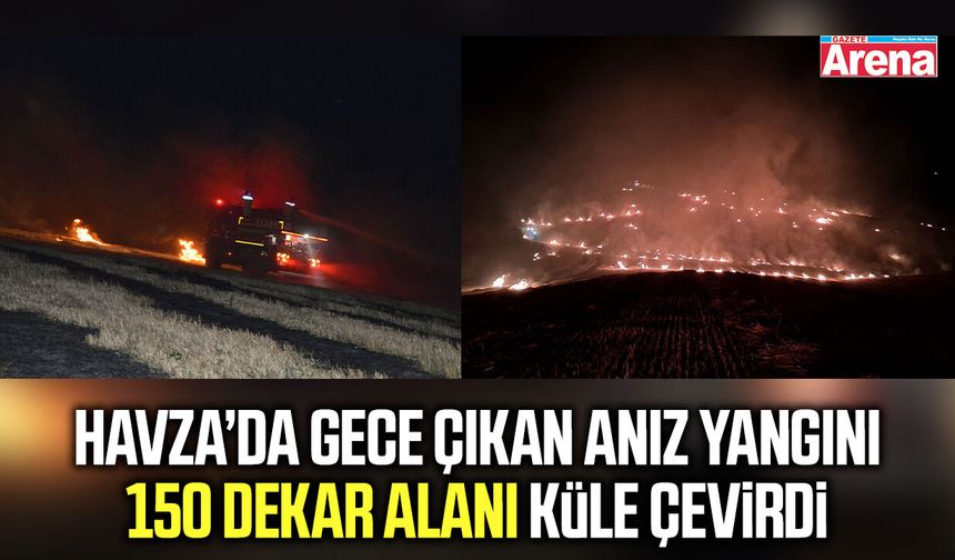 Havza’da gece çıkan anız yangını 150 dekar alanı küle çevirdi