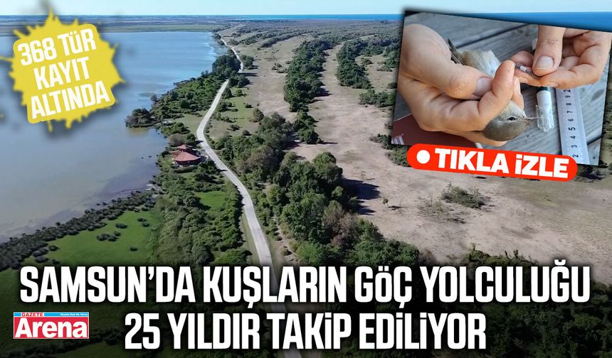 Samsun’da kuşların göç yolculuğu 25 yıldır takip ediliyor