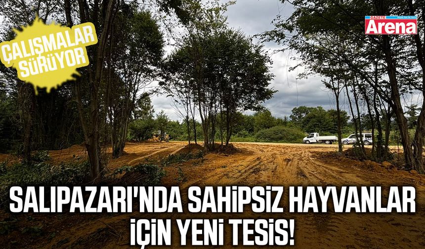 Salıpazarı'nda sahipsiz hayvanlar için yeni tesis!