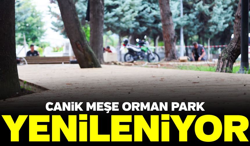 Canik Meşe Orman Park yenileniyor
