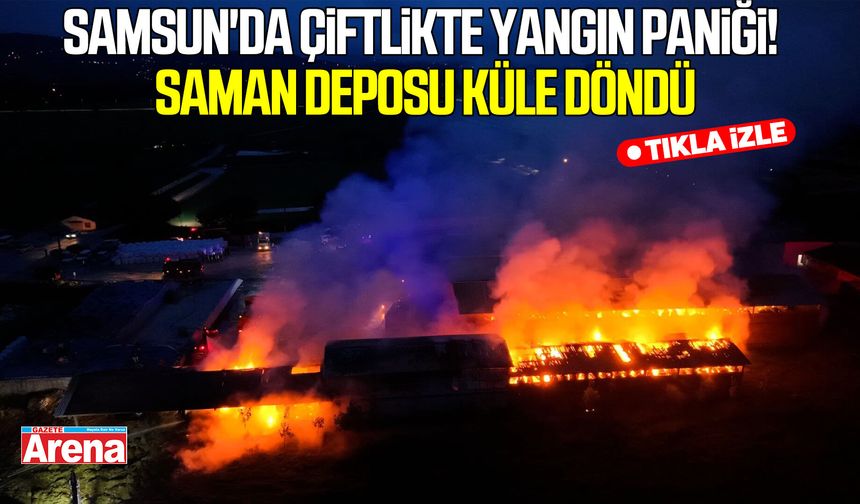 Samsun'da çiftlikte yangın paniği! Saman deposu küle döndü