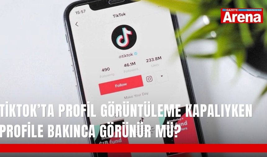 TikTok’ta profil görüntüleme kapalıyken profile bakınca görünür mü?