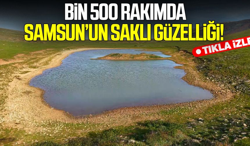 Bin 500 rakımda Samsun'un  saklı güzelliği!