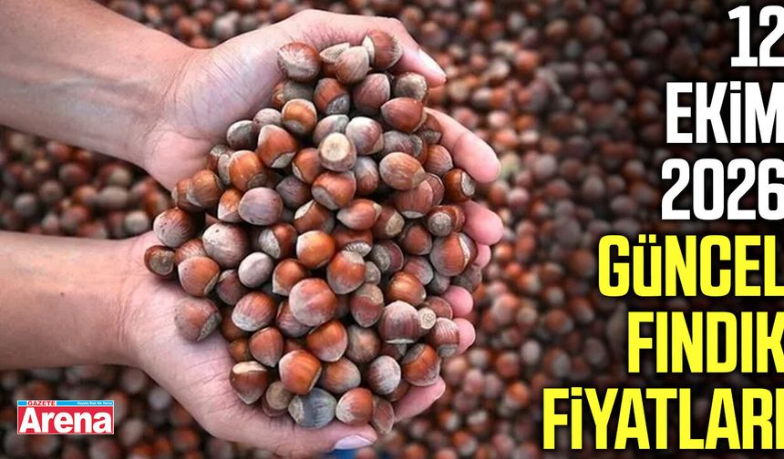 12 Ekim 2026 güncel fındık fiyatları