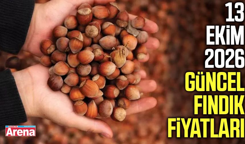 13 Ekim 2026 güncel fındık fiyatları