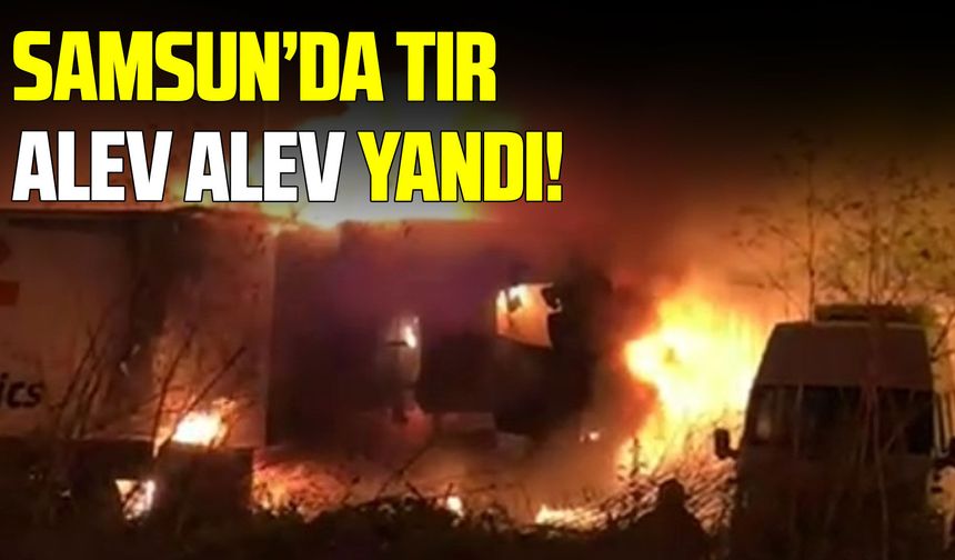 Samsun’da park halindeki tır alevlere teslim oldu